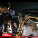 95dc1bf0-69e0-408f-a2cd-393d8c9f7990