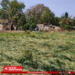 IMG-20260331-WA0011