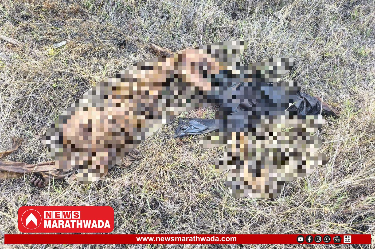 सिडको वाळूज महानगरात मानवी सांगाडा आढळला; पोलिस तपास सुरू